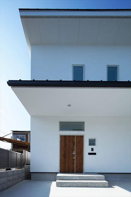 nest
